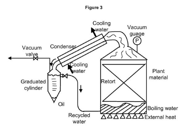 fig3.jpg