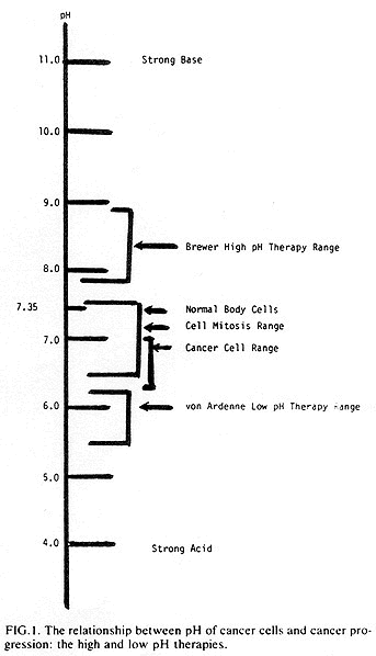 fig1.gif