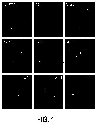 us201325a.jpg