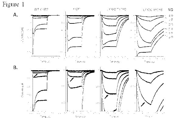 us2015a.jpg