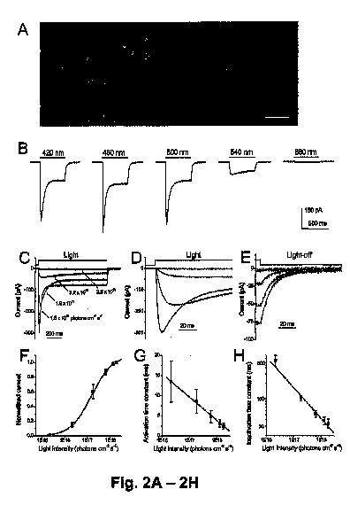 us847b.jpg