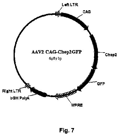 us847i.jpg