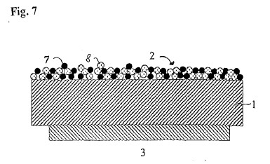fig7.jpg