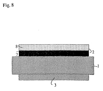 fig8.jpg