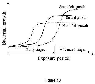 2007j.jpg