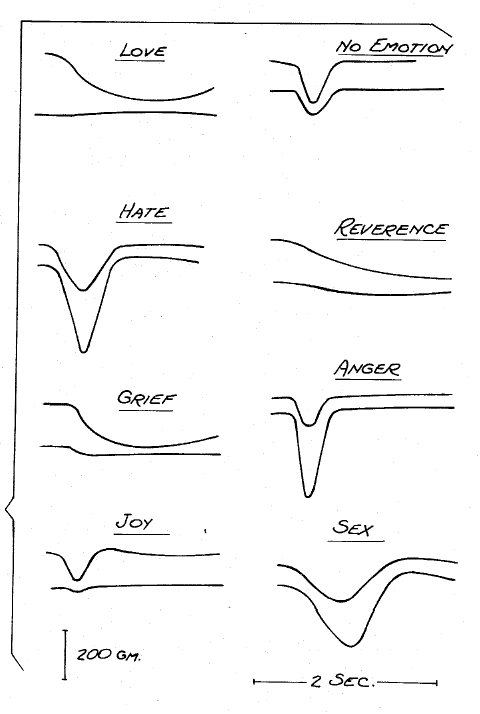 sntc4ms.gif