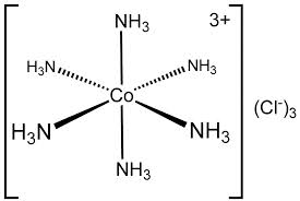 cohexamine.jpg