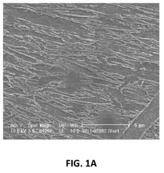 fig1a.jpg