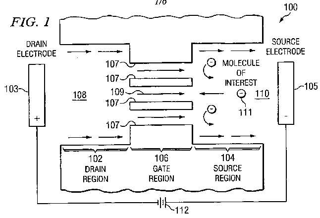 fig1.jpg