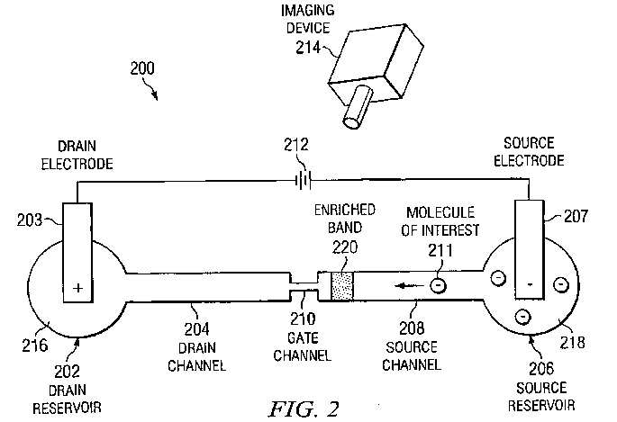 fig2.jpg