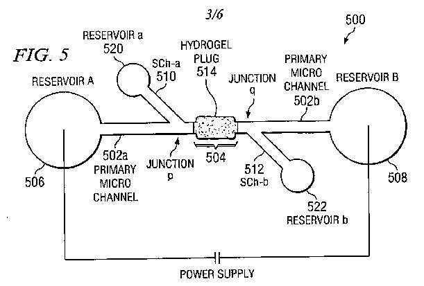 fig5.jpg