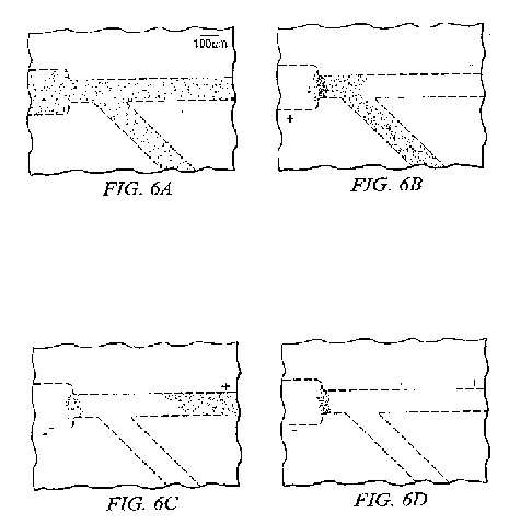 fig6.jpg