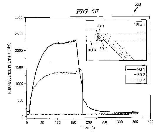 fig6e.jpg