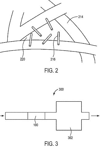 fig2.jpg