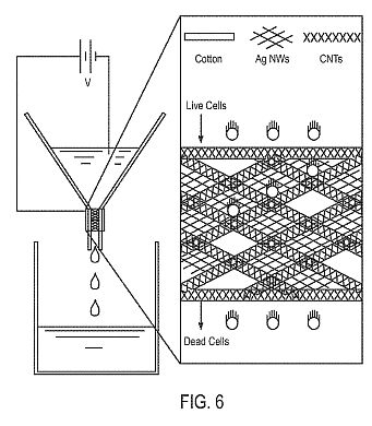 fig4.jpg