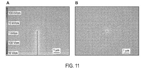fig7.jpg