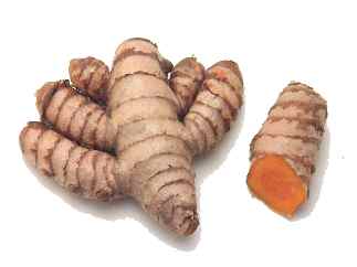 turmeric.jpg