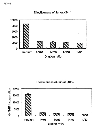 fig10.jpg