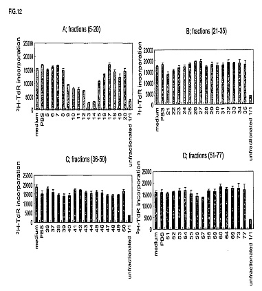 fig12.jpg