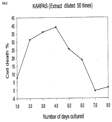 fig5.jpg