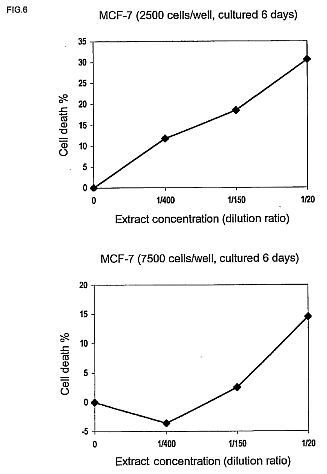 fig6.jpg