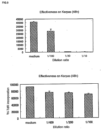 fig9.jpg