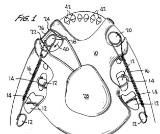 fig1.jpg