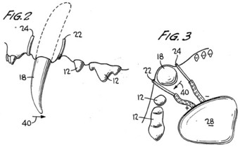 fig23.jpg