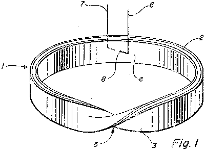 1fig1.gif