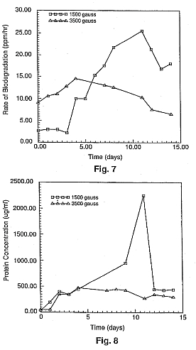 5709e.jpg