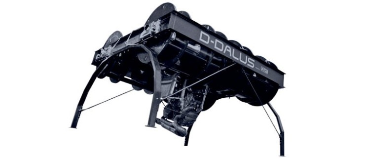 ddalus4.jpg