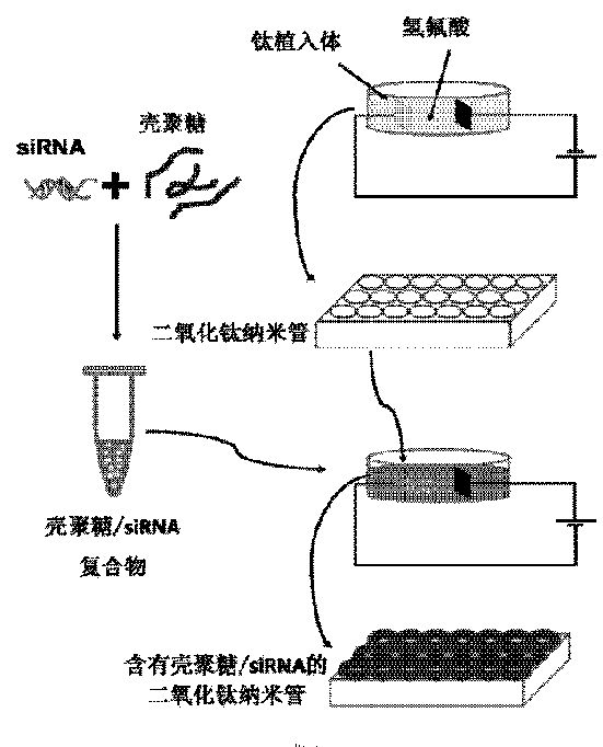 cn1040a.jpg