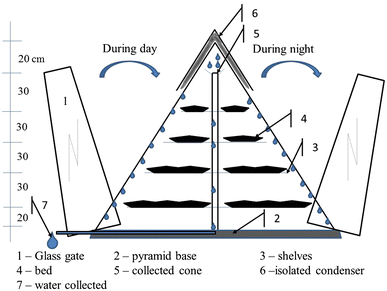 Fig2.gif