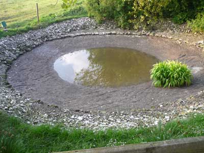 dp1.jpg