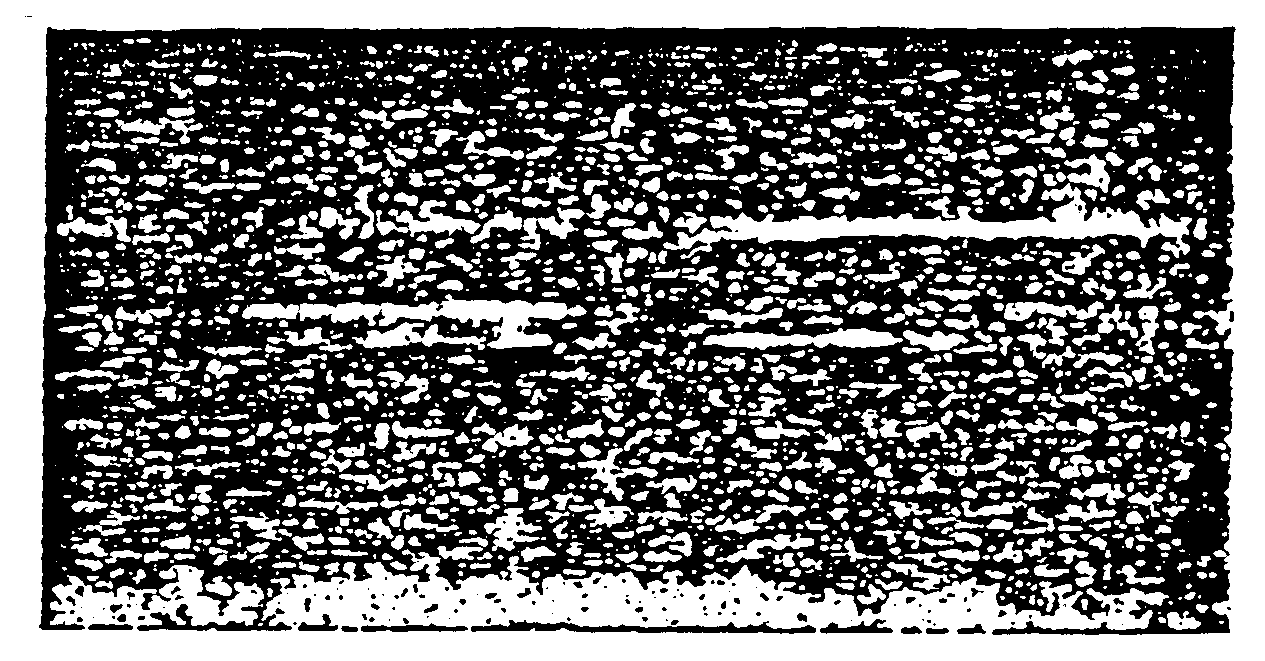 dob11.gif