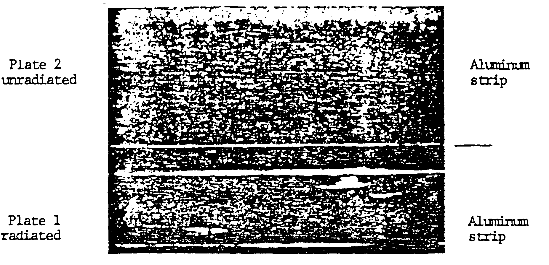 dob12a.gif