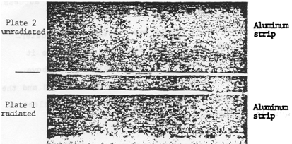 dob12h.gif