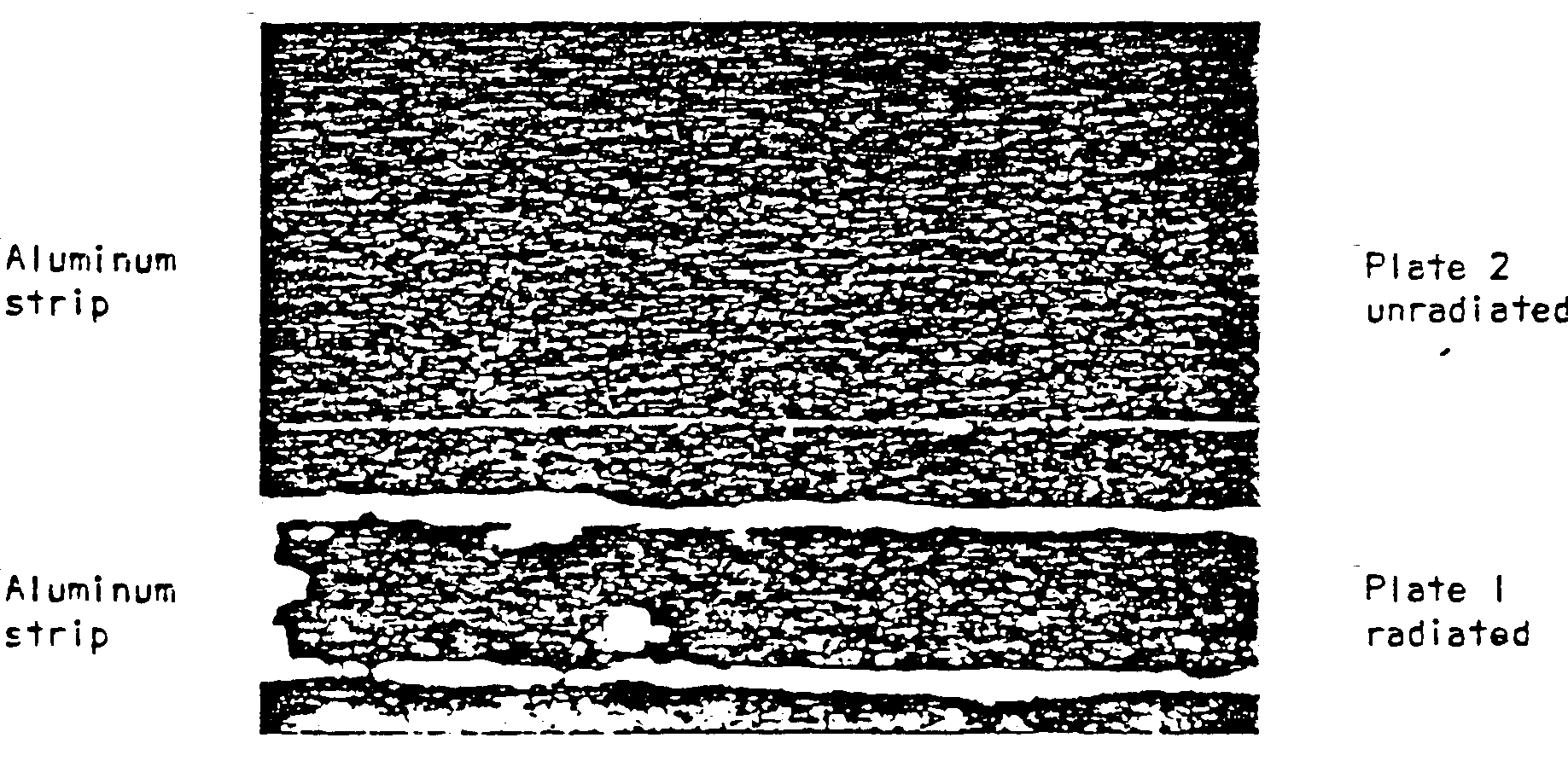 dob4.gif