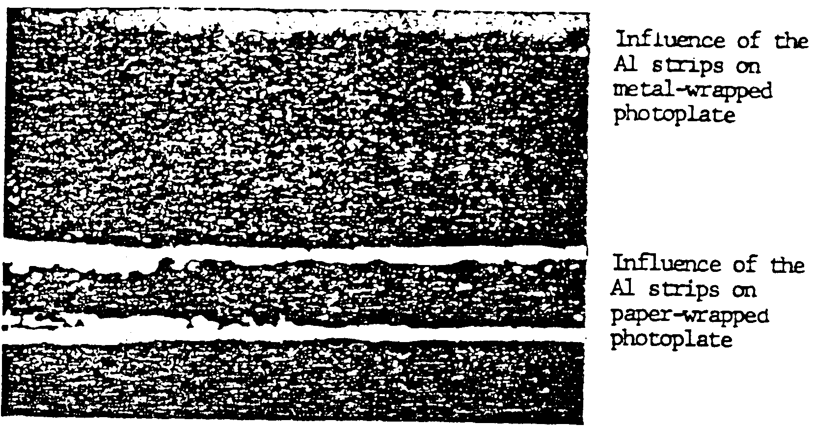 dob5.gif