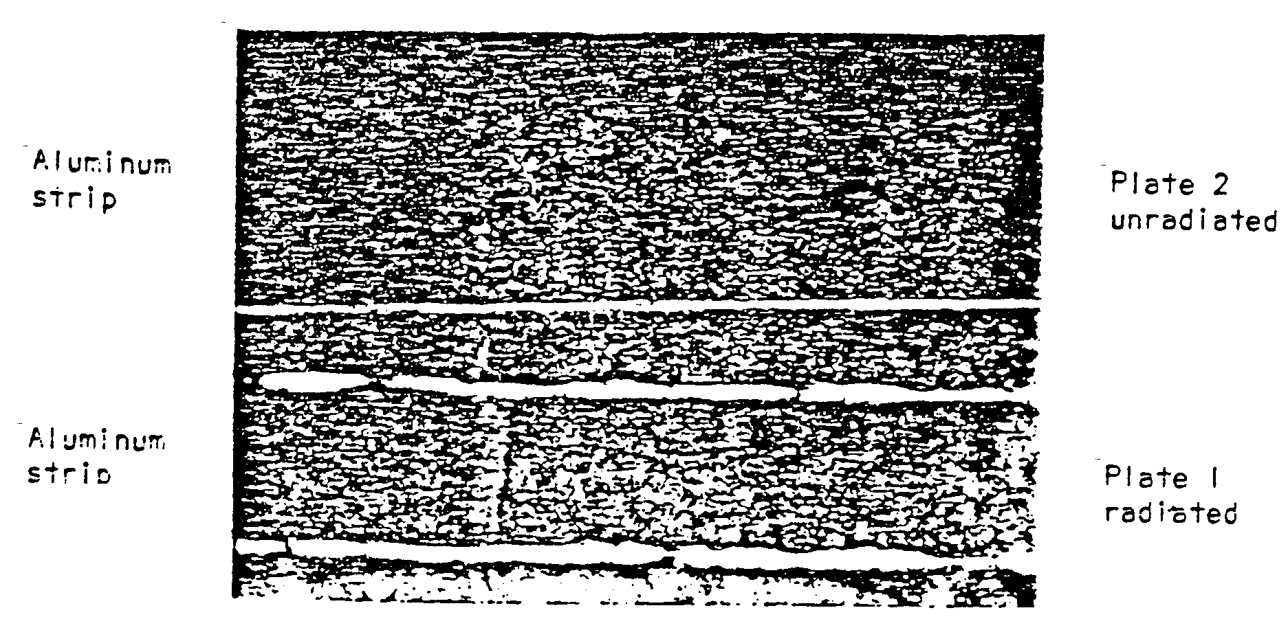 dob6.gif