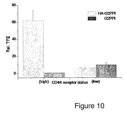fig10.jpg