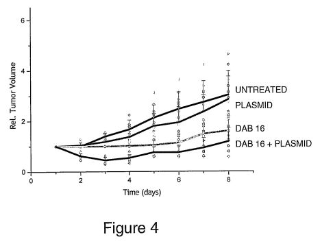 fig4.jpg
