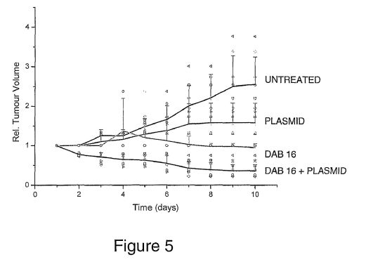 fig5.jpg