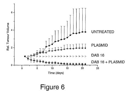 fig6.jpg