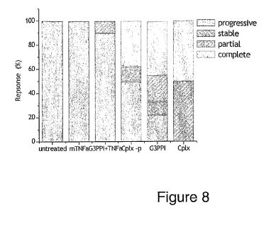 fig8.jpg