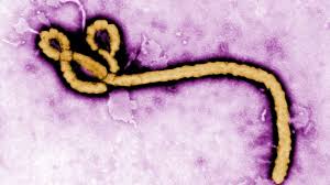 ebola.jpg