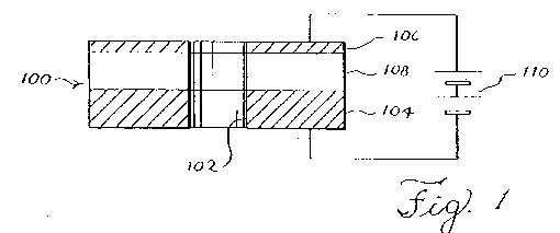 fig1.jpg