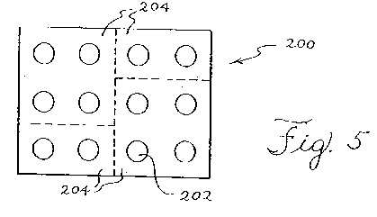 fig5.jpg