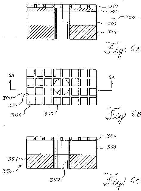 fig6.jpg