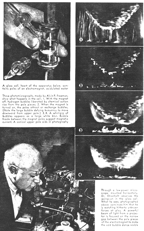 a3.gif